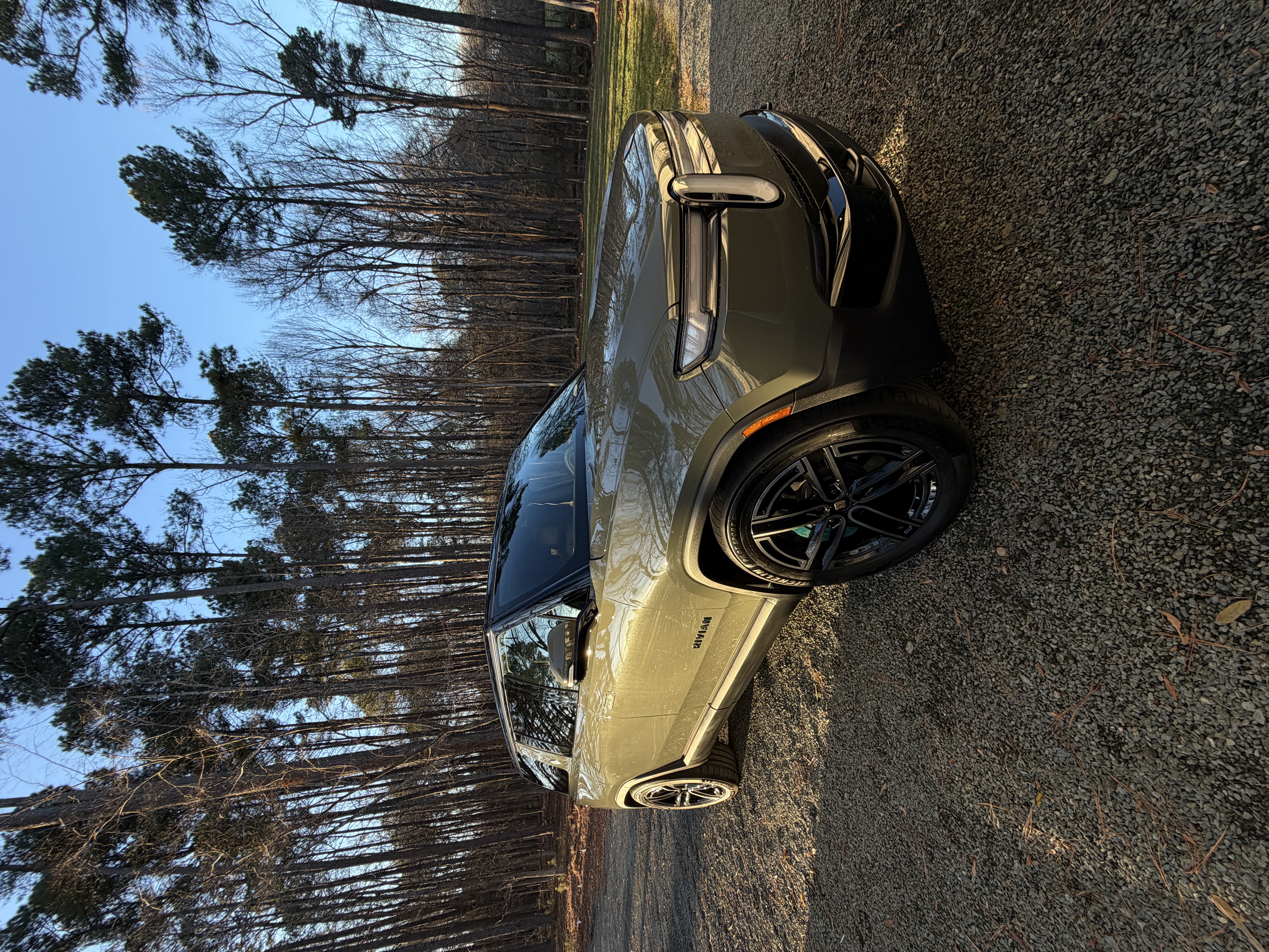 Paint correction detail